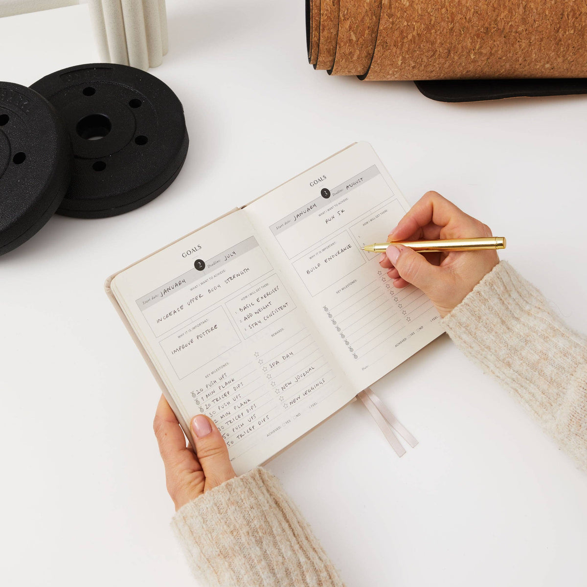 Blush And Gold My Daily Gym Planner - 150 Workouts (Sand).