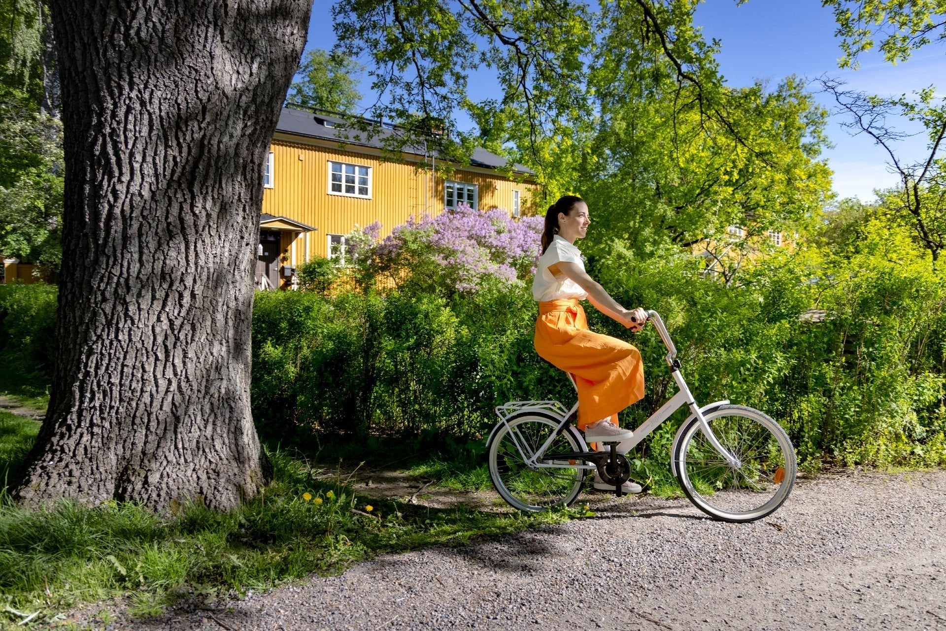 Ehkäise raudanpuute: Raudan lähteet ja raudanpuutteen tutkimukset - Greenstreet.fi