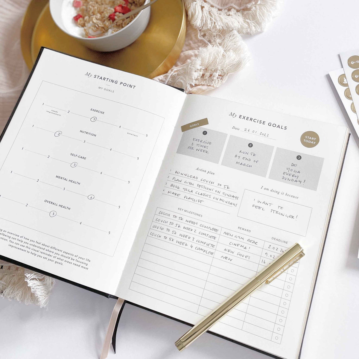 Blush And Gold My Daily Fitness planner - Workout and Meal Planner (Blossom).