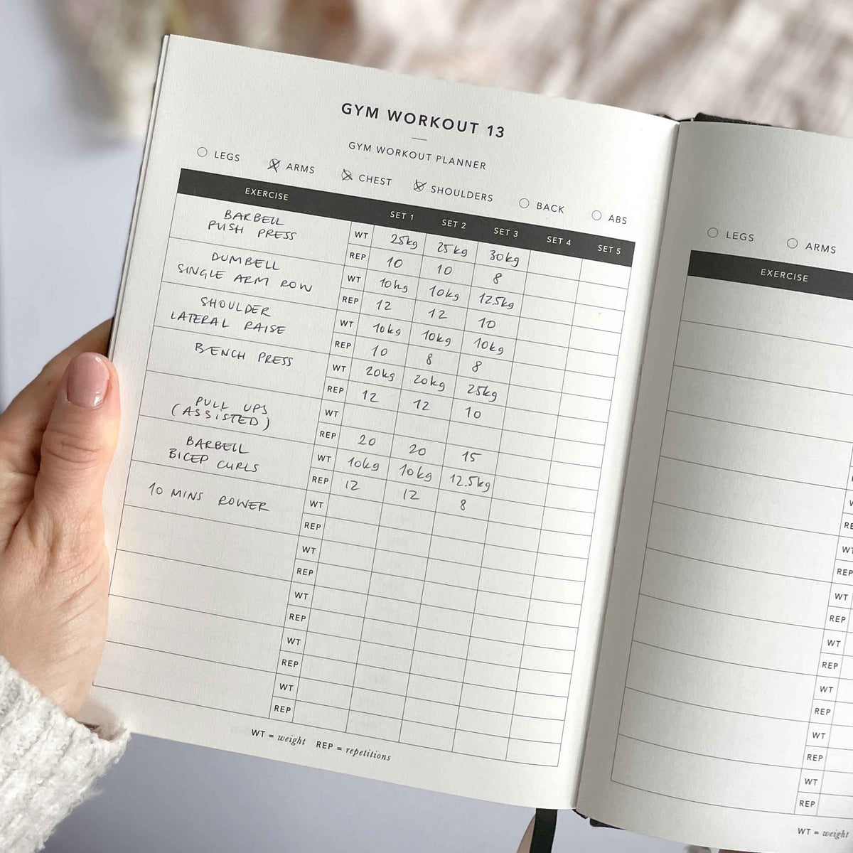 Blush And Gold My Daily Fitness Planner - Workout and Meal Planner (Curve).