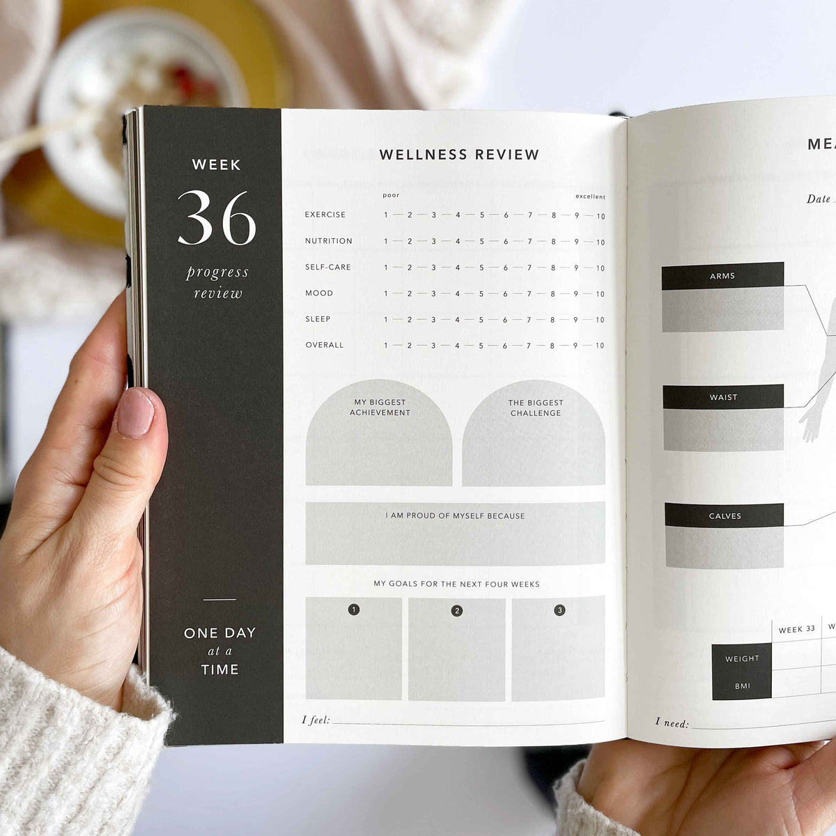 Blush And Gold My Daily Fitness Planner - Workout and Meal Planner (Curve).