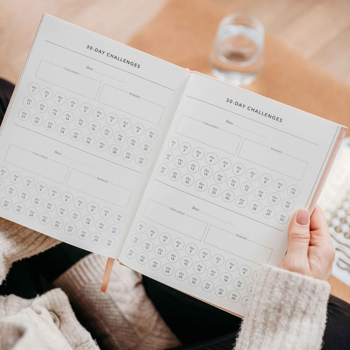 Blush And Gold My Daily Fitness Planner - Workout and Meal Planner (Curve).