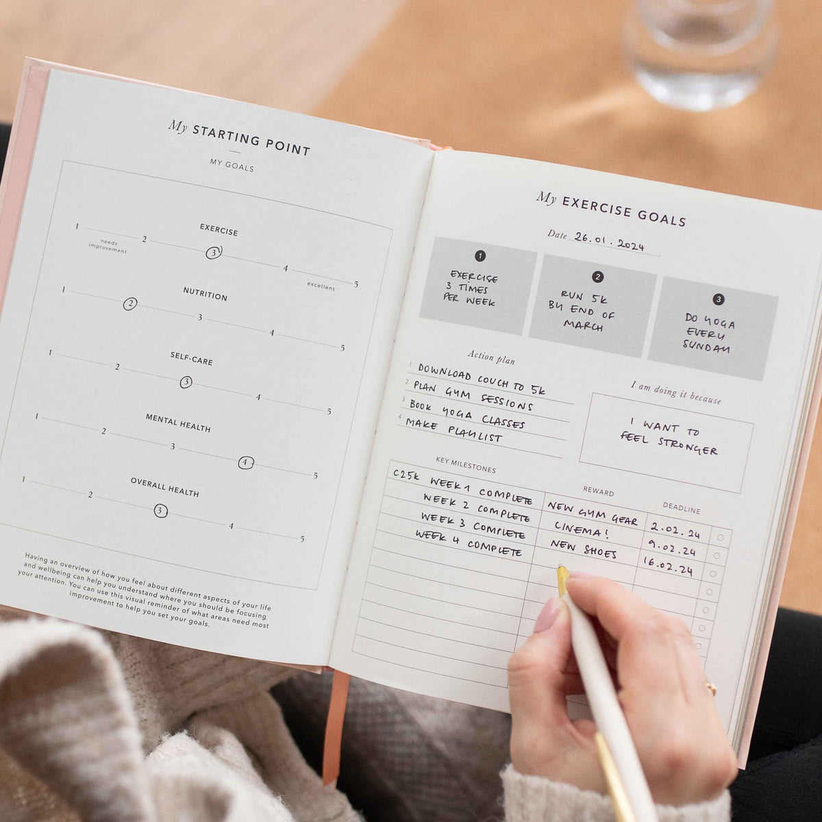 Blush And Gold My Daily Fitness Planner - Workout and Meal Planner (Curve).