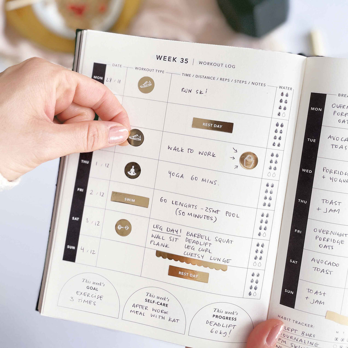 Blush And Gold My Daily Fitness Planner - Workout and Meal Planner (Curve).
