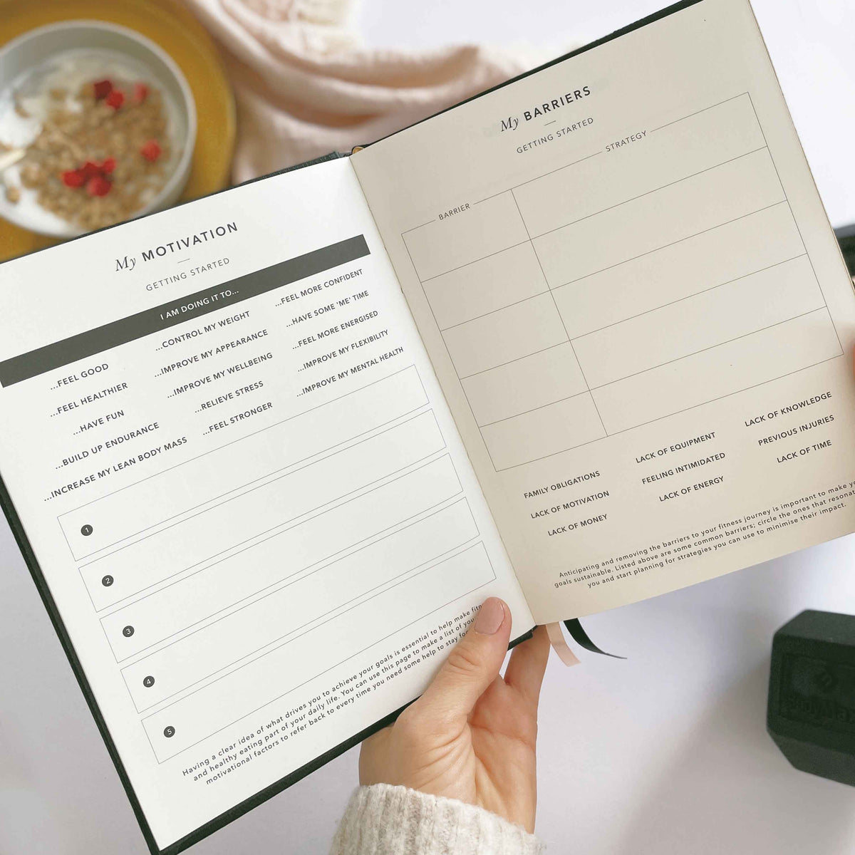 Blush And Gold My Daily Fitness planner - Workout and Meal Planner (Noir).