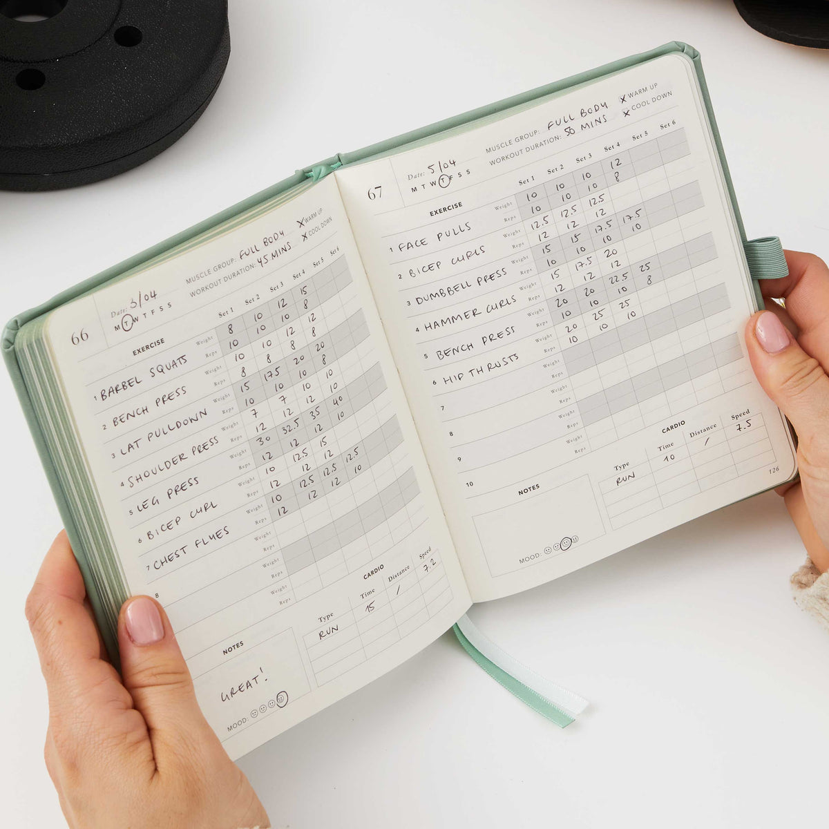 Blush And Gold My Daily Gym Planner - 150 Workouts (Green).