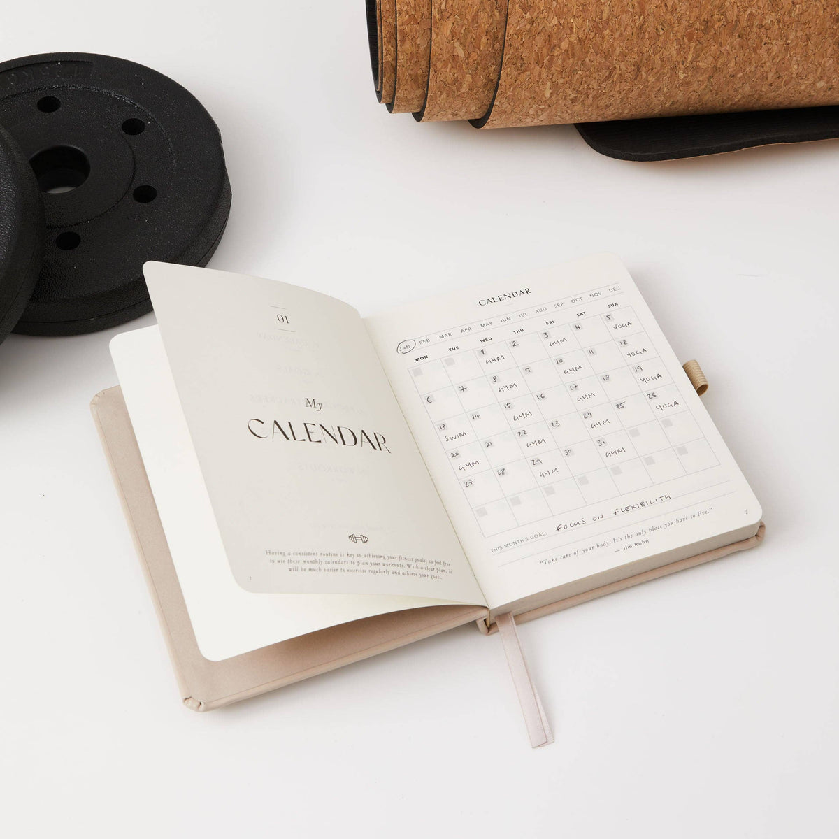 Blush And Gold My Daily Gym Planner - 150 Workouts (Sand).