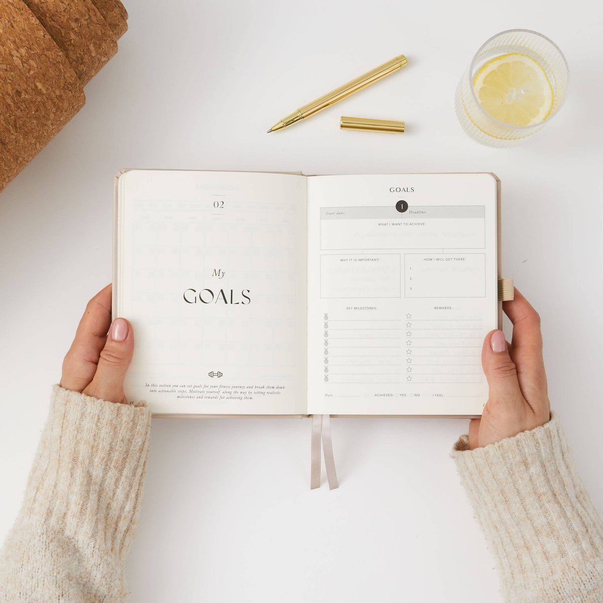 Blush And Gold My Daily Gym Planner - 150 Workouts (Sand).