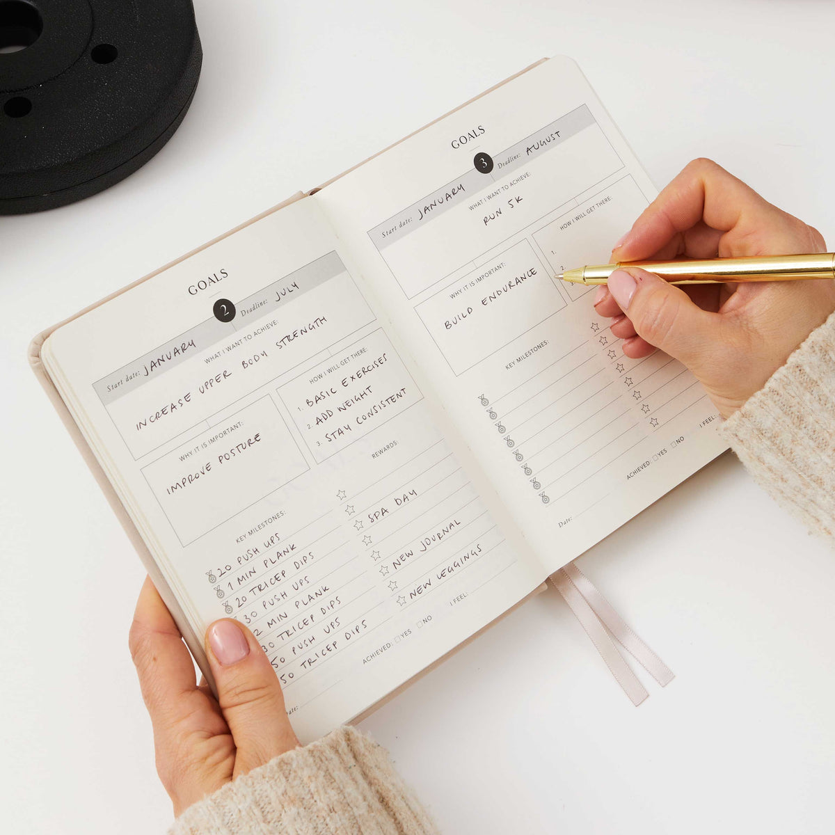 Blush And Gold My Daily Gym Planner - 150 Workouts (Sunset).