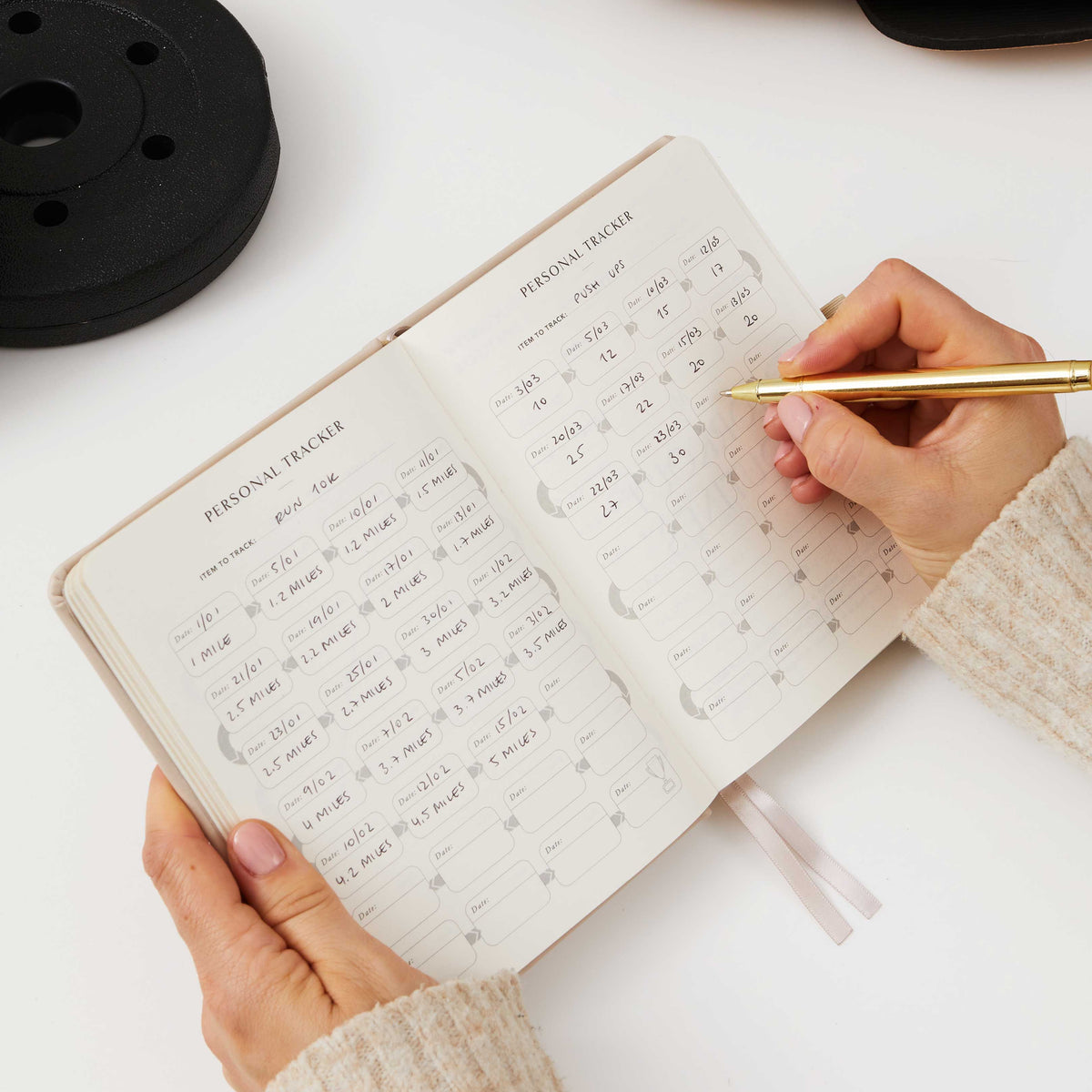 Blush And Gold My Daily Gym Planner - 150 Workouts (Sunset).