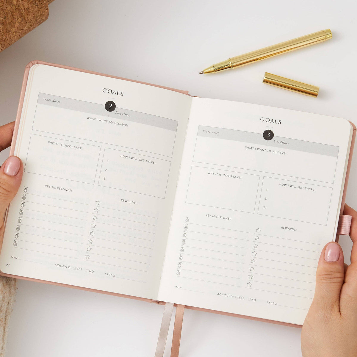 Blush And Gold My Daily Gym Planner - 150 Workouts (Sunset).