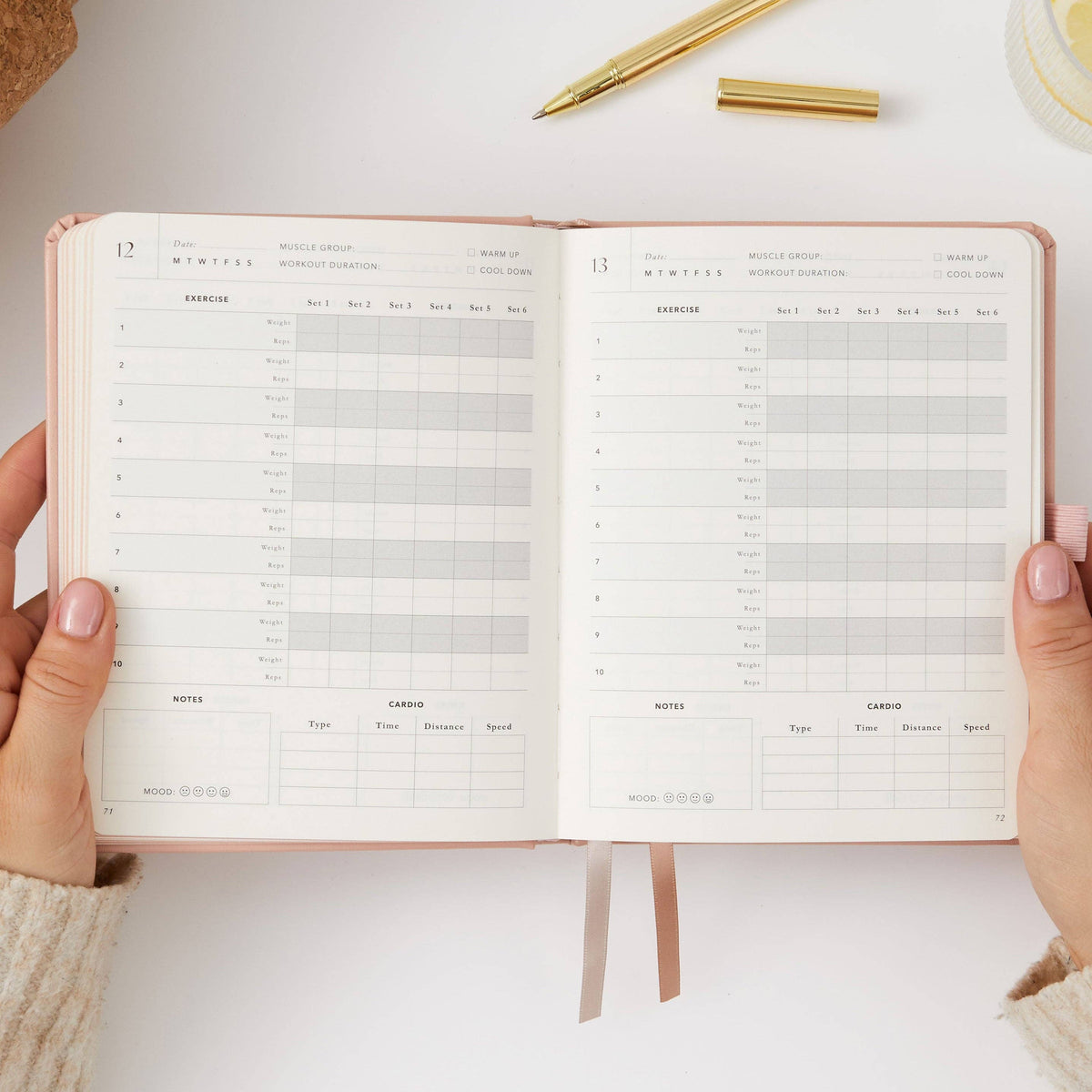 Blush And Gold My Daily Gym Planner - 150 Workouts (Sunset).