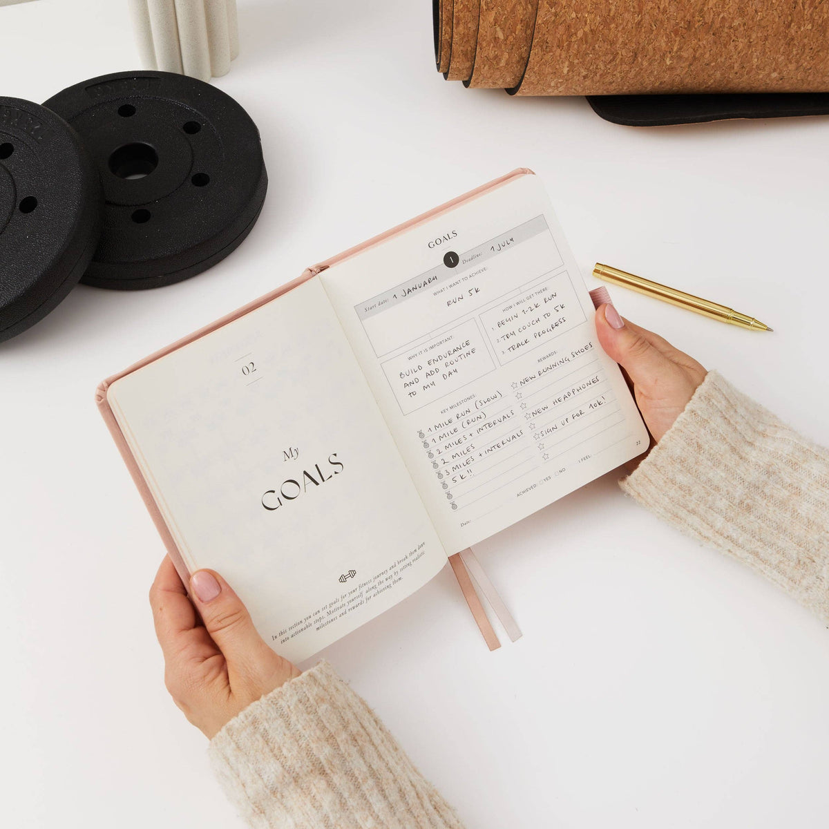Blush And Gold My Daily Gym Planner - 150 Workouts (Sunset).