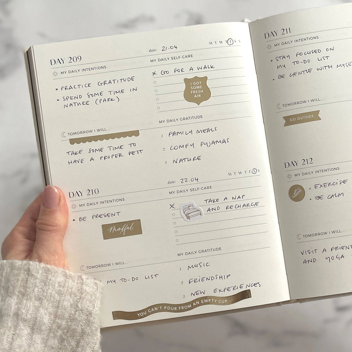 Blush And Gold My Daily Self - Care Reflection and Gratitude Journal (Almond).
