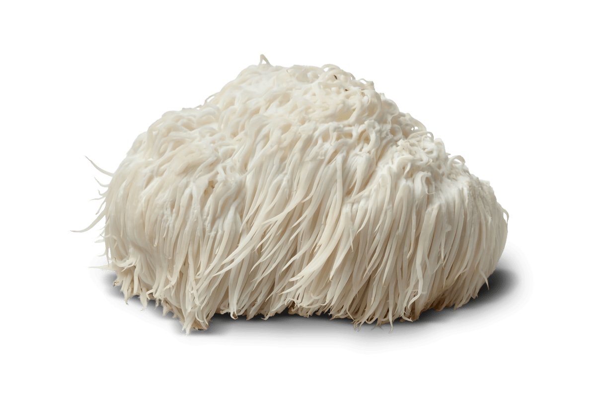 Mushrooms For Life Mushrooms For Life Lion&#39;s Mane, 60 kaps.