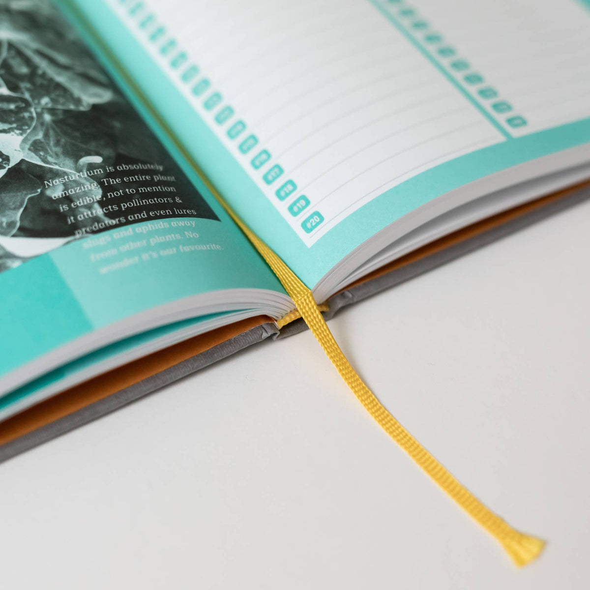 The Green Conspiracy Garden Journal - Garden Planner - A5 - 100% kompostoitava!.