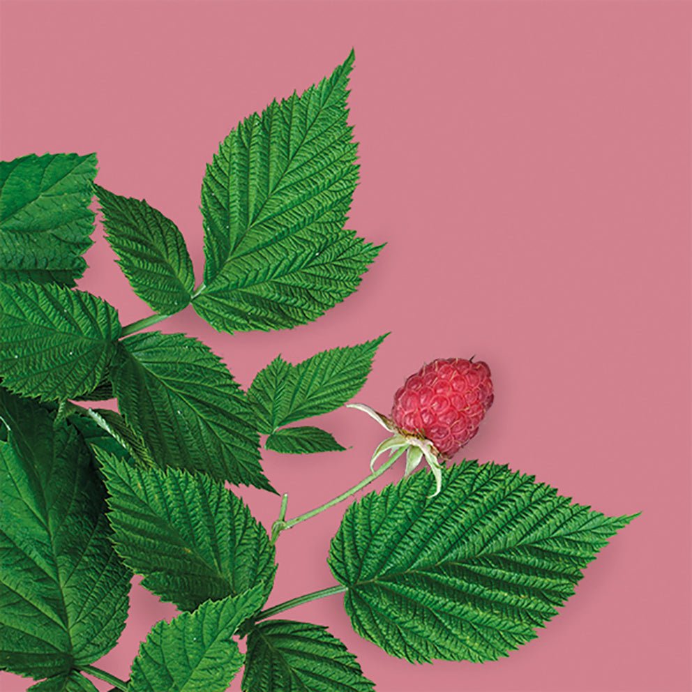 METTÄ Nordic METTÄ Raspberry Leaf - Vadelmanlehti, 15g.